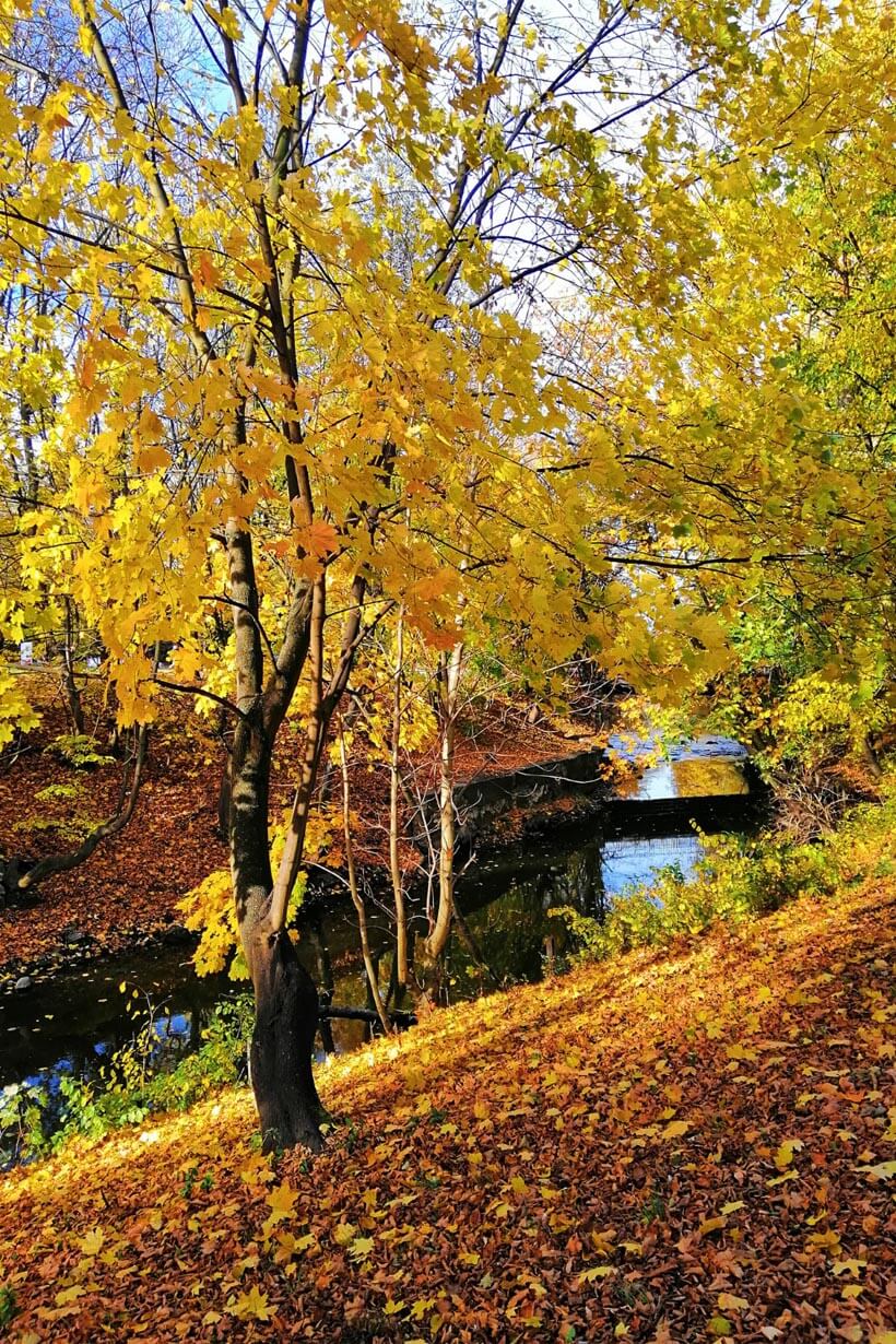 Angebote Herbstspezial